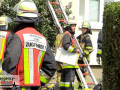 MVI_8556_15