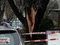 MVI_1397.00_00_50_32.Standbild004