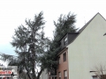 MVI_1397.00_01_22_10.Standbild005