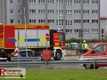 IMG_4751 IMG_4751
