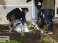 IMG_7368 IMG_7368