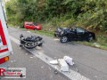 VU A1 Köln, FR Koblenz, kurz vor dem AK K-Nord, 3 PKW, 1 LKW, 1 Krad, 4 Verletzte, 1 Hund tot