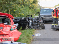 VU A1 Köln, FR Koblenz, kurz vor dem AK K-Nord, 3 PKW, 1 LKW, 1 Krad, 4 Verletzte, 1 Hund tot