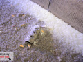 06.02.21-011