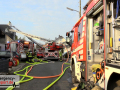 MVI_0684_17