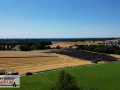 DJI_0419