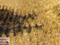 Sequenz-02_23