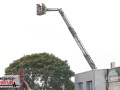 131