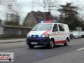 vlcsnap-2019-02-08-15h54m40s133