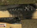 08.03.21-003