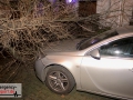 Baum stürzte durch einen Zaun und beschädigte ein Auto leicht