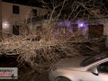 Baum stürzte durch einen Zaun und beschädigte ein Auto leicht