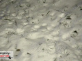 09.02.21-029