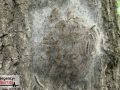 09.06.19-001 09.06.19-001
