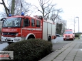0112_Schlangen_Essen_JustinBrosch 0112_Schlangen_Essen_JustinBrosch