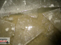 11.02.21-026