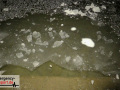 11.02.21-029
