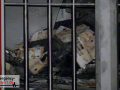 10.11.21-033
