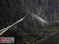 IMG_2310 IMG_2310