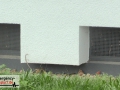 13.03.20-001