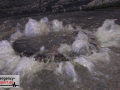 14.03.22-030 14.03.22-030