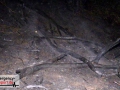 14.04.20-057 14.04.20-057