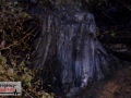 14.04.20-062 14.04.20-062