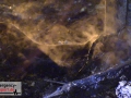 14.04.20-083 14.04.20-083