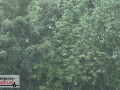 14.07.21-001