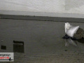 14.07.21-083