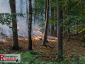 14.08.2026_Hürtgenwald_Waldbrand_Tag_2 14.08.2026_Hürtgenwald_Waldbrand_Tag_2