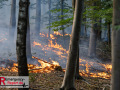 14.08.2026_Hürtgenwald_Waldbrand_Tag_2 14.08.2026_Hürtgenwald_Waldbrand_Tag_2