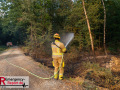 14.08.2026_Hürtgenwald_Waldbrand_Tag_2