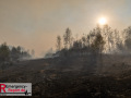 14.08.2026_Hürtgenwald_Waldbrand_Tag_2