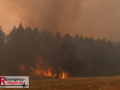 14.08.2026_Hürtgenwald_Waldbrand_Tag_2