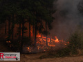 14.08.2026_Hürtgenwald_Waldbrand_Tag_2