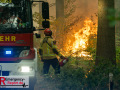 14.08.2026_Hürtgenwald_Waldbrand_Tag_2