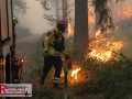14.08.2026_Hürtgenwald_Waldbrand_Tag_2
