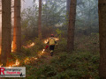 14.08.2026_Hürtgenwald_Waldbrand_Tag_2