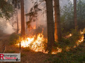 14.08.2026_Hürtgenwald_Waldbrand_Tag_2