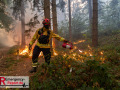 14.08.2026_Hürtgenwald_Waldbrand_Tag_2