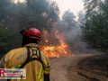 14.08.2026_Hürtgenwald_Waldbrand_Tag_2