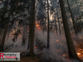 14.08.2026_Hürtgenwald_Waldbrand_Tag_2