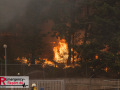 14.08.2026_Hürtgenwald_Waldbrand_Tag_2