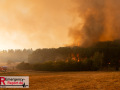 14.08.2026_Hürtgenwald_Waldbrand_Tag_2