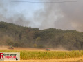 14.08.2026_Hürtgenwald_Waldbrand_Tag_2