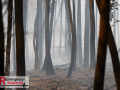 14.08.2026_Hürtgenwald_Waldbrand_Tag_2
