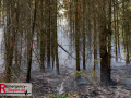 14.08.2026_Hürtgenwald_Waldbrand_Tag_2