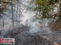 14.08.2026_Hürtgenwald_Waldbrand_Tag_2