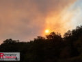 14.08.2026_Hürtgenwald_Waldbrand_Tag_2